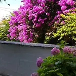 Maskaric Cavtat