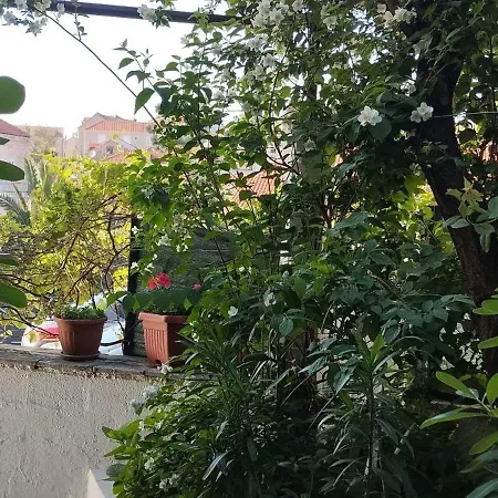 Daire Maskaric Cavtat